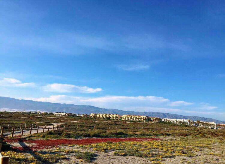 Apartamento Lujo, Primera Linea Playa, Garaje, Wifi, Piscina Climatizada Рокетас-де-Мар Экстерьер фото